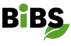 Gruppe BIBS / Robert Glogowski